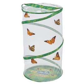 Insect Lore School Kit Refill with 33 Live Caterpillars | STEM Activity Journal & 33 Live Baby Painted Lady Butterfly Caterpillars | Cups & Tools Included