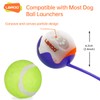 LaRoo LED Dog Ball, Dog Toys Silicon Glowing LED Dog