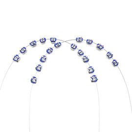 SEAVERRS 1 Pack Temporary Tooth Decoration with Metal Wires,Metal Bracket and Orthodontic Ligature Ties,Practice Props for Dental Students,lecture prop for orthodontists. (Dark blue)