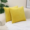 Betadistor Orange Cushion Covers 18x18Inch 2-Pack: Soft Decorative Throw Pillow