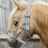 Ruggles Head Collar for Shetland Pony and Miniature Horses |