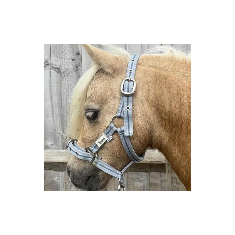 Ruggles Head Collar for Shetland Pony and Miniature Horses |