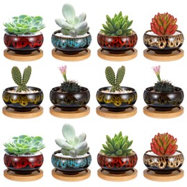 mekueeex 12 Pcs Succulent Pots 2.5 Inch Ceramic Succulent Garden Pots Planters with Drainage and Bamboo Tray for Indoor Garden Plants Planters Colorful Cactus Flower Pot
