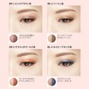 Visee Riche Double Veil Eyes Eye Shadow RD-6 Beige Red