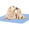 Bed Pads Washable Waterproof 34" x 36", 2 Pack Reusable