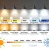 Maylaywood A19 LED Light Bulbs, 60 Watt Equivalent LED Bulb,