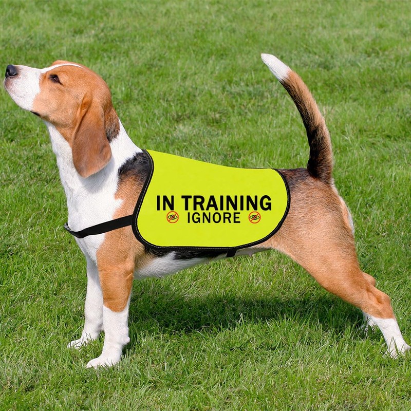 In Training Ignore Dog Jacket Vest Dog In Training Nervous