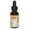 EXCTRIC KIDS NETLE EYE LIGHTS 1oz TINK KIDS 29.5ml e167