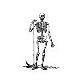 CafePress Skeleton Grim Reaper Small Die Cut Sticker, 3"x4" Matte Finish