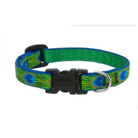 LupinePet Originals 1/2" Tail Feathers 10-16" Adjustable Collar for Small Dogs