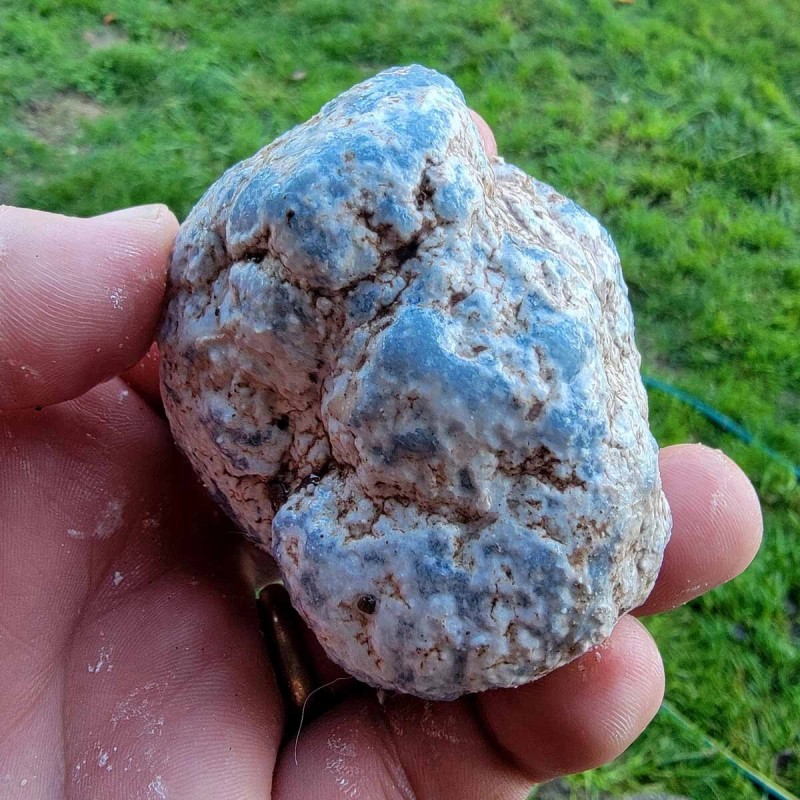 Random Pull Peruvian Angelite Cutting Rough Specimens! Lapidary Stone Material!