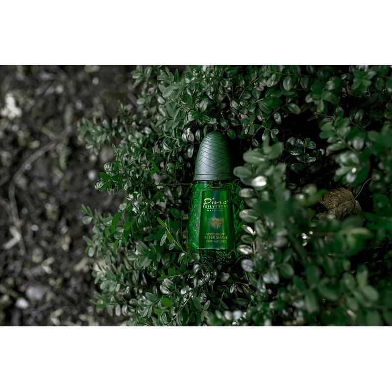 Varios - PINO SILVESTRE AS 125 ML