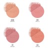 겔랑 Terracotta Blush