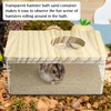kathson Hamster Sand Bath Box Transparent Acrylic Small Syrian Hamster