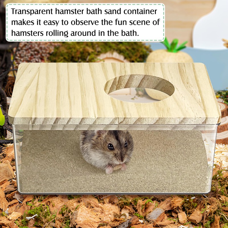 kathson Hamster Sand Bath Box Transparent Acrylic Small Syrian Hamster