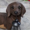 Bits and Pieces - Dog Solar Lantern Statue - Solar