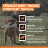 SportDOG White Plastic Dummies - Durable Soft Plastic Retriever &