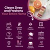 Bio one™ deep clean + surface cleanser concentrate bundle