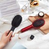 WANGCL 2PCS Diversion Safe Hair Brush to Hide Cash Mini