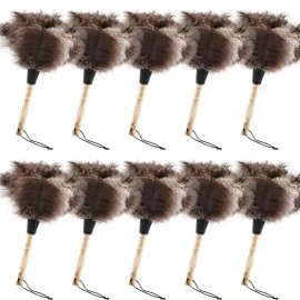 Retractable Feather Duster Ostrich Feathers Anti-Static Reusable Eco-Friendly Handheld Cleaning for Keyboard Home Car Officecolor: Style C - 10 Pcs