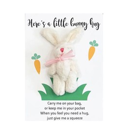 Wasise Pocket Hug - Cheer Up Small Gifts for Women, Thinking of You Bunny Rabbit Mini Gifts, Pocket Hugs for Friends, Birthday, Graduation, Valentines Gift, Women Strength Gift Cards (WHITE)