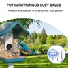 popolov Metal Suet Ball Holder Compatible with Bird Buddy Smart