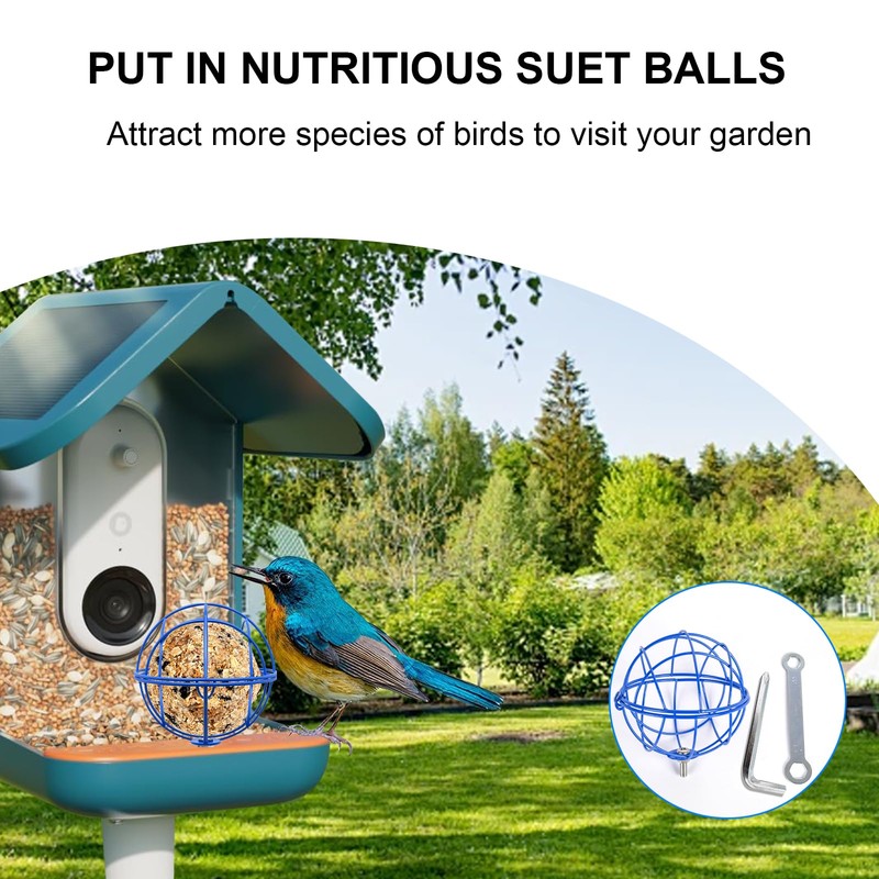 popolov Metal Suet Ball Holder Compatible with Bird Buddy Smart