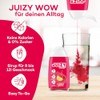 JUIZY WOW JUIZY WOW Squeeze Sirup Zuckerfrei | 3 x