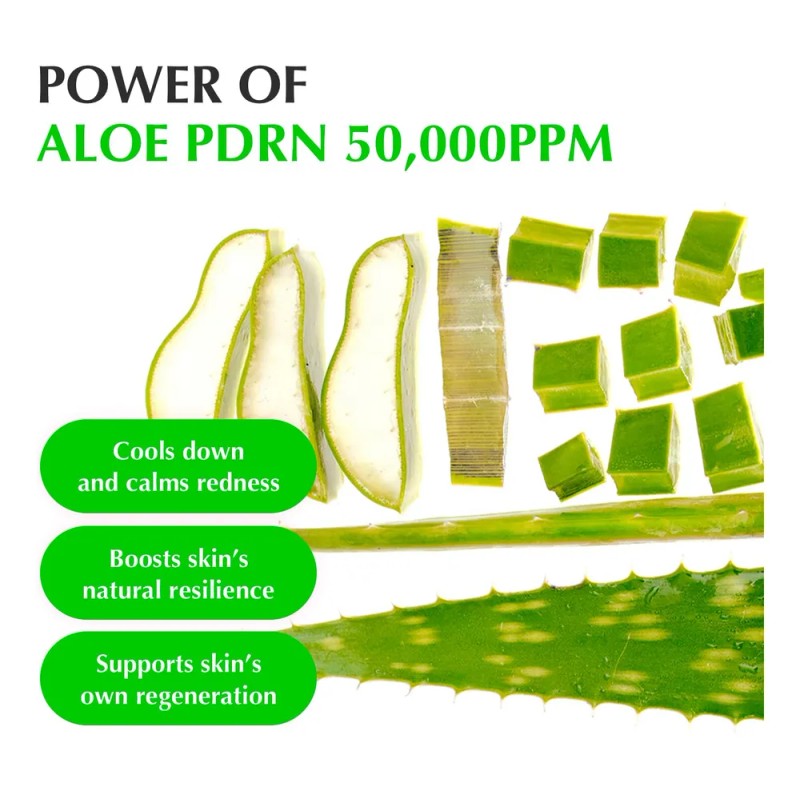 Eqqualberry Aloe Pdrn Suero Calmante Todo Tipo De Piel Día/noche