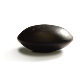 Master Massage Basalt Stone Maltese Mould for Hot Stone Massage Pack of 10