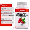 BioHerb® | Arándano Rojo Orgánico + Vitamina C | 90