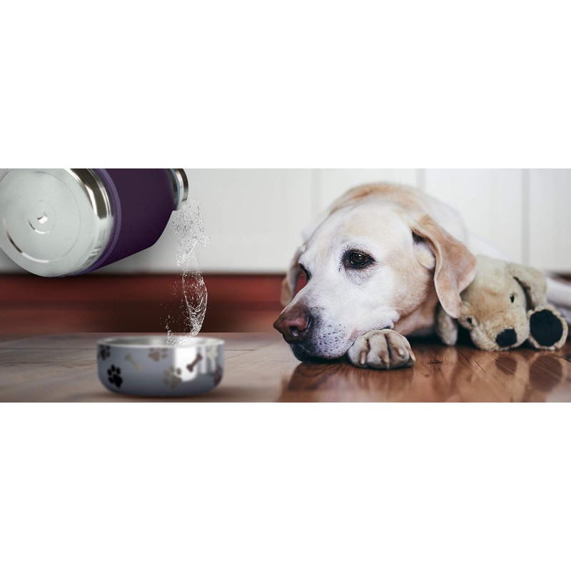 Asobu Dog Bowl Attached to Stainless Steel Insulated Travel Bottle