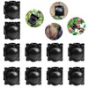 Plant Root Growing Box - 10Pcs Assisted Rooting Device, Reusable