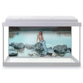 Aquarium Fish Tank Background 90x45 cm - Blonde Mermaid Lady Beach Sea Static Cling Vinyl Vivarium Terrarium External Application #50302