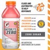 Gatorlyte Zero Electrolyte Beverage, Strawberry Kiwi, Zero Sugar Hydration, Specialized