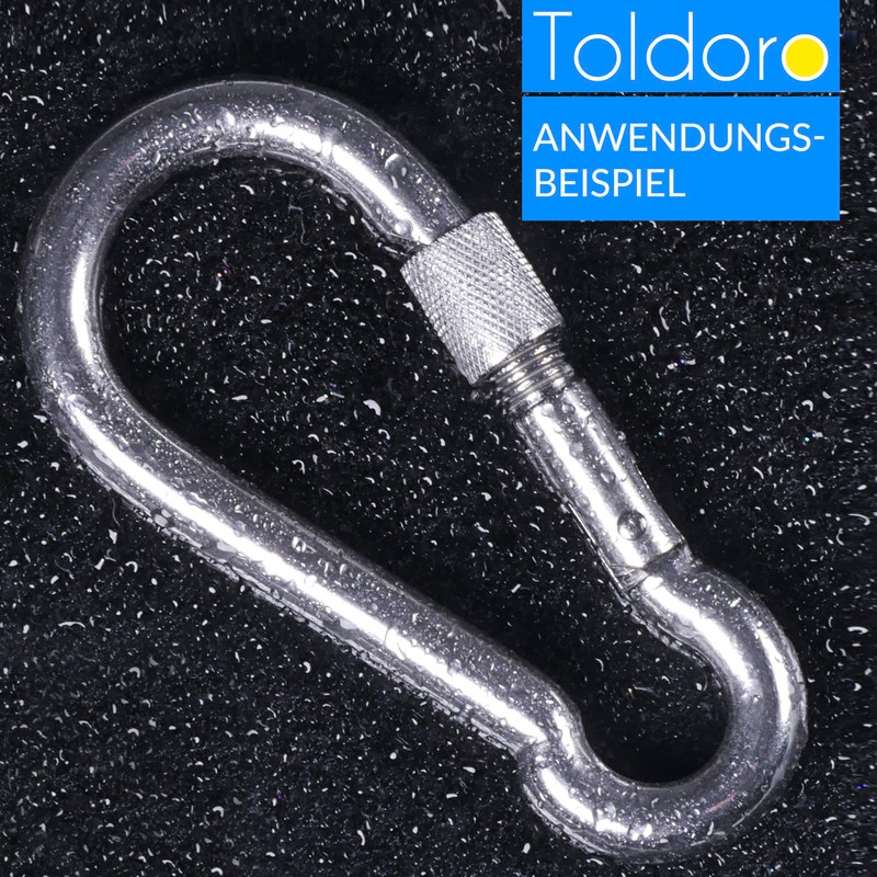 Toldoro® Niro AISI 316 V4A Stainless Steel Carabiner with Screw
