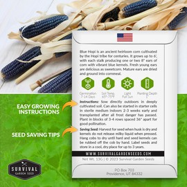 Blue Hopi Corn Seeds for Planting - 5 Packets with Instructions to Plant and Grow Heritage Blue Maize in Your Home Vegetable Garden - Non-GMO Heirloom Variety - Survival Garden Seeds