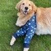 HDKUW Dog Elbow Protector for Calluses, Dog Joint Recovery Sleeve