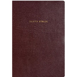 RVR 1960 Biblia de Estudio Arco Iris, borgoÃ±a piel fabricada con Ã­ndice (Spanish Edition)
