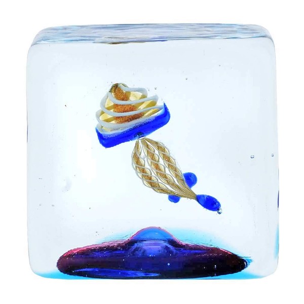 Glass Of Venice Murano Glass Aquarium Cube with Jellyfish -