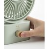 BRUNO BDE061-BL Fan, Tabletop, Silent, Oscillating, Small, Portable, Swing Desk