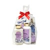 Bath and Body Butterfly Deluxe 7pc Gift Set includes Fine