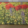 Ambesonne Flower Place Mats Set of 8, Colorful Field Poppies