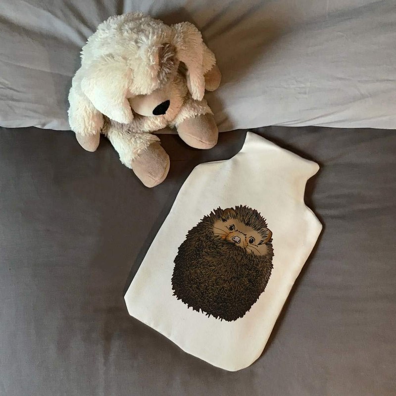 'Curled up Hedgehog' Hot Water Bottle Cover (HW00018064)