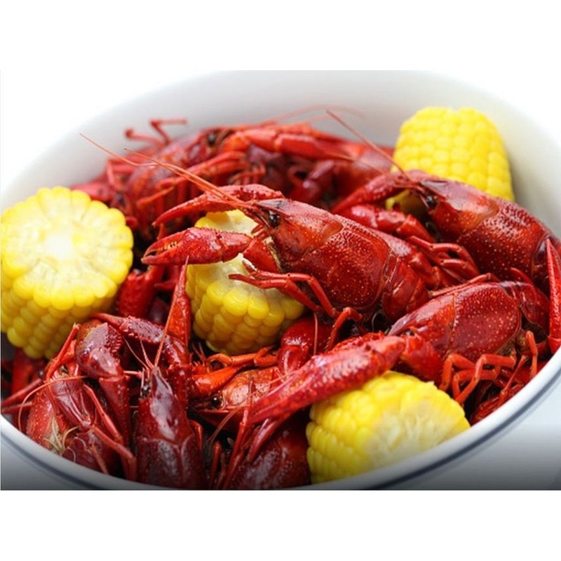 Professional Grade 80 Quart All Purpose Boiling Pot with Basket