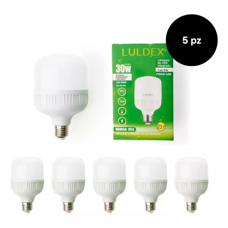LULDEX Paquete 10 Focos Led Color Luz Fria 30 W