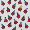 Luxury ECO Xmas Gift Wrap - 6 sheets/tags - Christmas