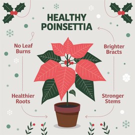 Gardenera Poinsettia Plant Fertilizer - 3-1-2 NPK - Organic Liquid Plant Food for Christmas Flowers and Trees - 8oz Concentrate