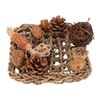 Bird Climbing Net Rattan Ball Pine Cone Corn Cob Nuts