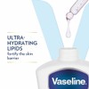 Vaseline Intensive Care Advanced Repair Loción hidratante curativa sin perfume,